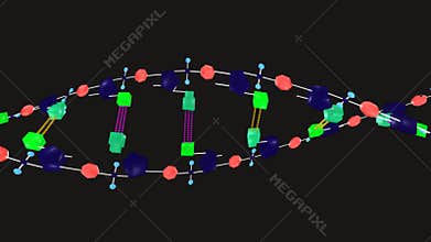 Polypeptide Chain