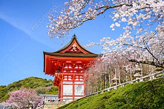 Kyoto Temples in the Spring