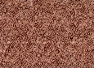 Football Texture