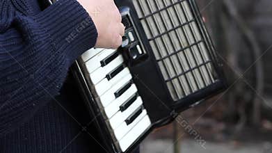 Piano Accordion Musician