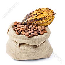 Cocoa bean and pod