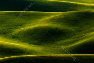 Palouse Luminance