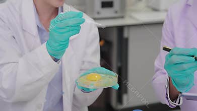 Laboratory quality control testing by food scientists and microbiologists involves analyzing vegetable samples