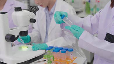 Laboratory quality control testing by food scientists and microbiologists involves analyzing vegetable samples