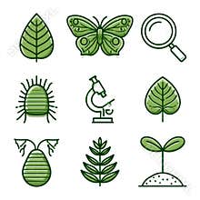 Outline Icons Showing Biology Items Including Leaf, Butterfly, Magnifying Glass, Seedling, and Microscope Arranged in a