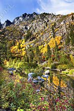 Fall Yellow Red Colors Reflection Wenatchee River Washington