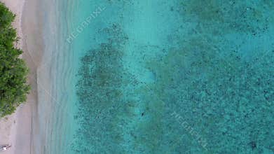 Sea turtle swimming clear blue water by sandy beach. Great aerial view drone