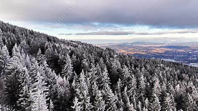 Frosted Treeline On Mountain Ridge, Golden Horizon Light, Distant Valley, Crisp Atmosphere, Panoramic