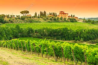 Chianti vineyard landscape with stone house in Tuscany