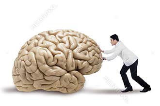 Practitioner pushing a brain