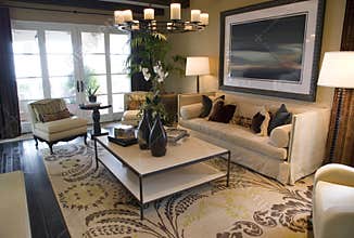 Luxury living room