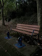 Bench to rest in a park