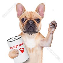 Donation dog