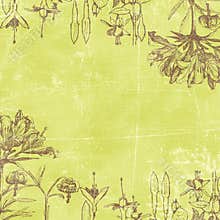 Vintage Florals Botanical Paper Background