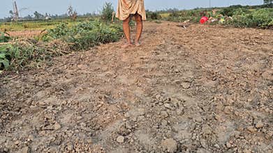 Farmer Sowing Seeds On Plowed Soil In Bangladesh