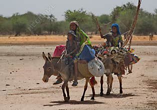 The Great Migration of the Tribe