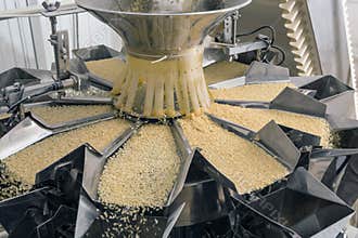Automated food factory