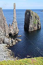 Sea cliffs near Bonavista, Newfoundland, Canada