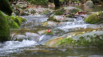 Creek Cascade with Fallen Red Leaves in Fall
