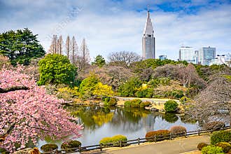 Tokyo in Spring