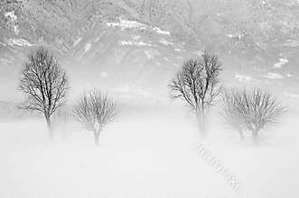 Winter solitude