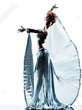 Woman with transparency silk dress silhouette