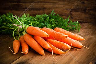 Fresh carrots bunch on wood