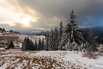 Beautiful winter landscape with snow covered trees