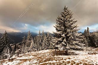 Beautiful winter landscape with snow covered trees