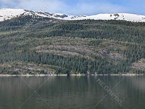 Endicott Arm fjord from a cruise ship