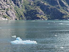 Floating ice chunk in Endicott Arm