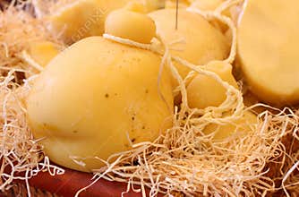CACIOCAVALLO cheese at the market