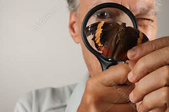 Man carefully examining a moth close up