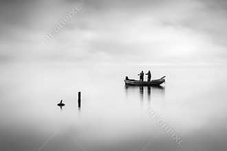Fishermen and the Curious Bird II