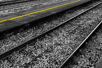 Yellow Line