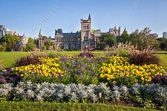 The University of Toronto