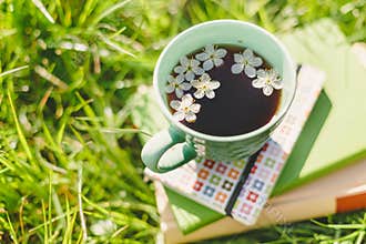 Books and spring tea cup