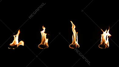 Real fire isolated on black background.