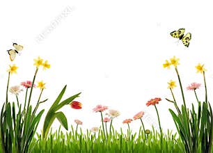 Idyllic garden scenery