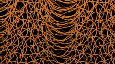 Abstract lines focusing
