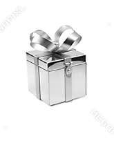 Silver Metal Favor Box