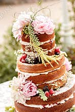 Naked wedding cake