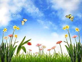 Idyllic spring scenery