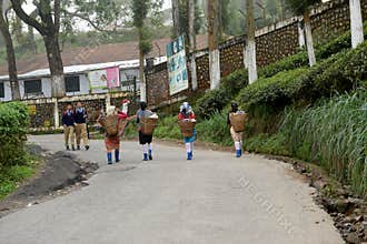 Tea Garden workers going on duty
