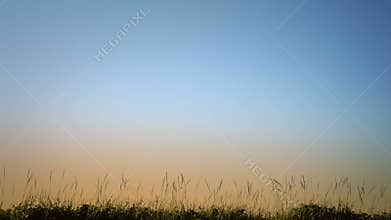 Man Running in Blowing Grass Silhouette.