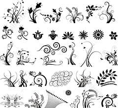 Collection of floral designs