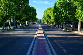 Perspective view of an urban avenue