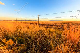 Barbed Wire Fence