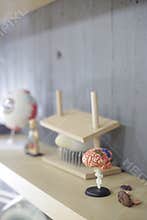 Biology medical class