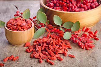 Barberry and dry goji berries in bowls